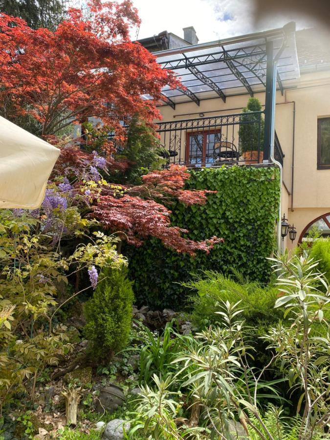 Bed and Breakfast Garden House Apatin Exteriér fotografie